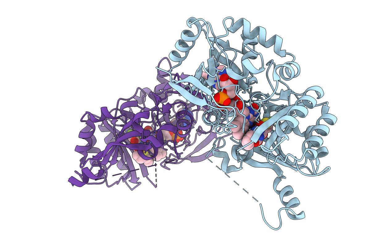 5OEP image
