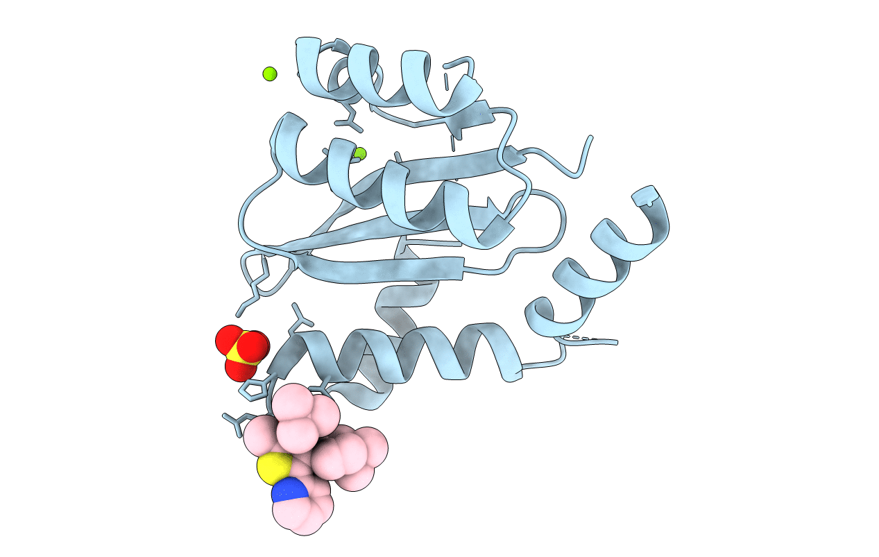 5OIA image