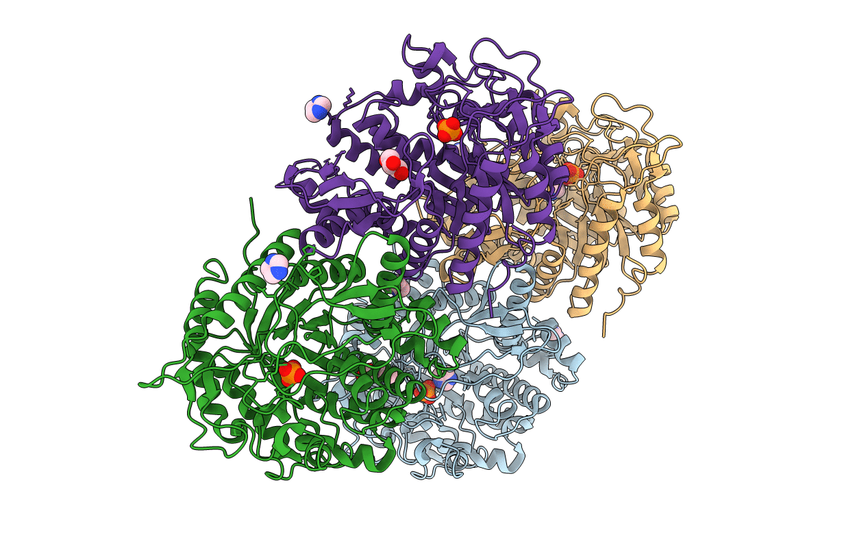 5OKB image