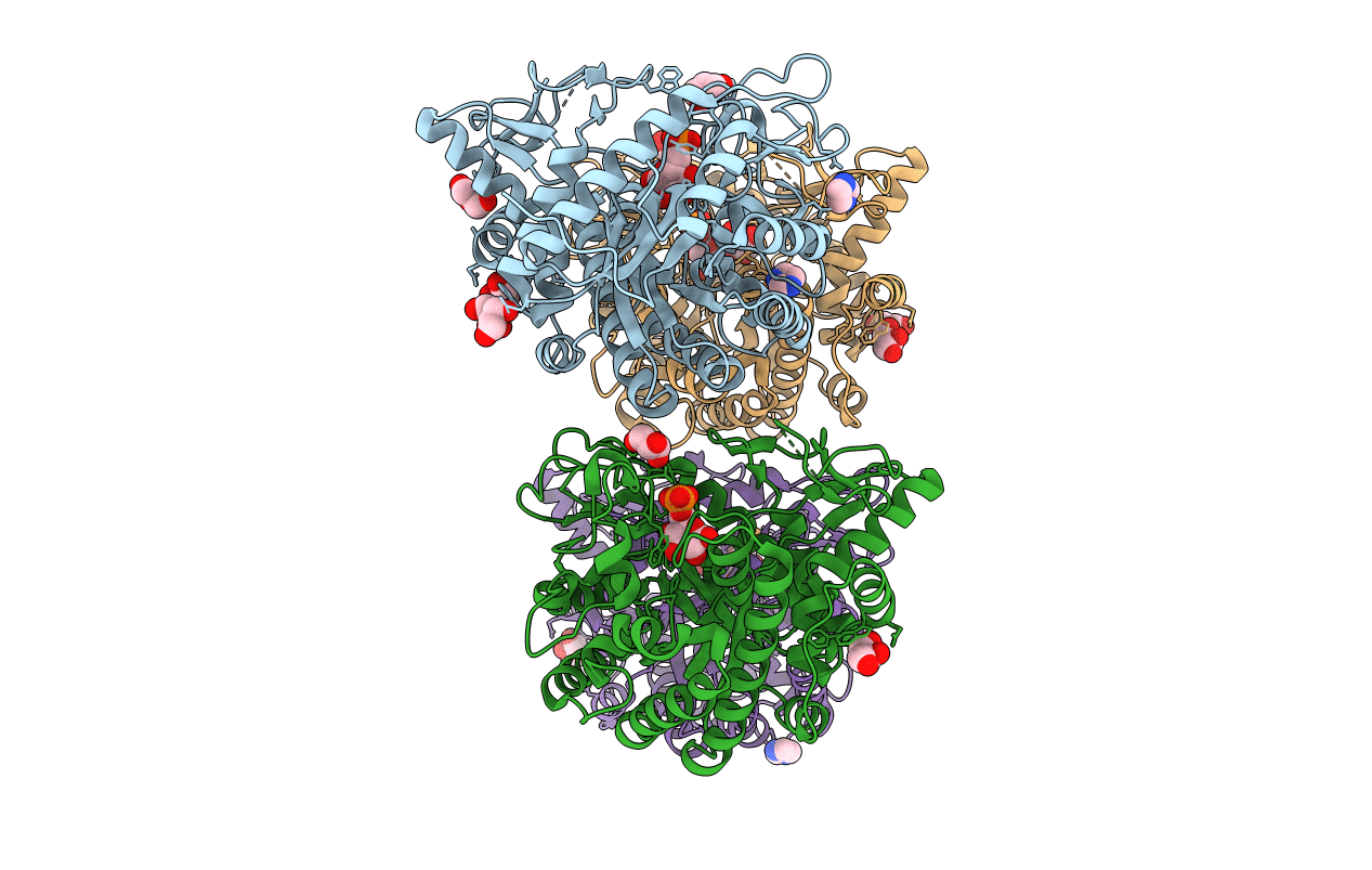 5OKG image