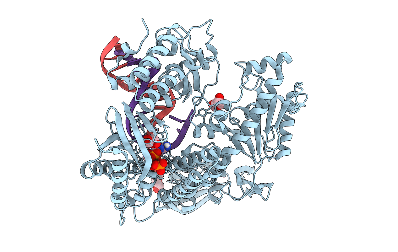 5OMV image