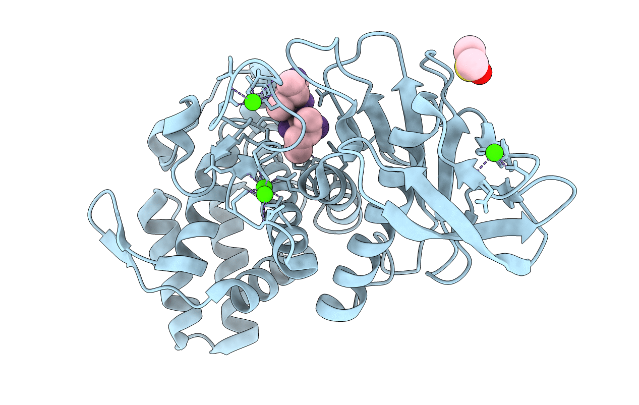 5ONR image