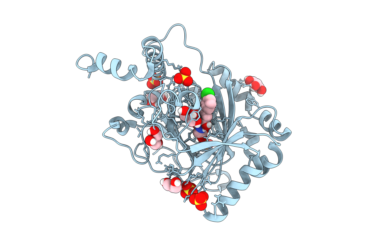 5OPC image