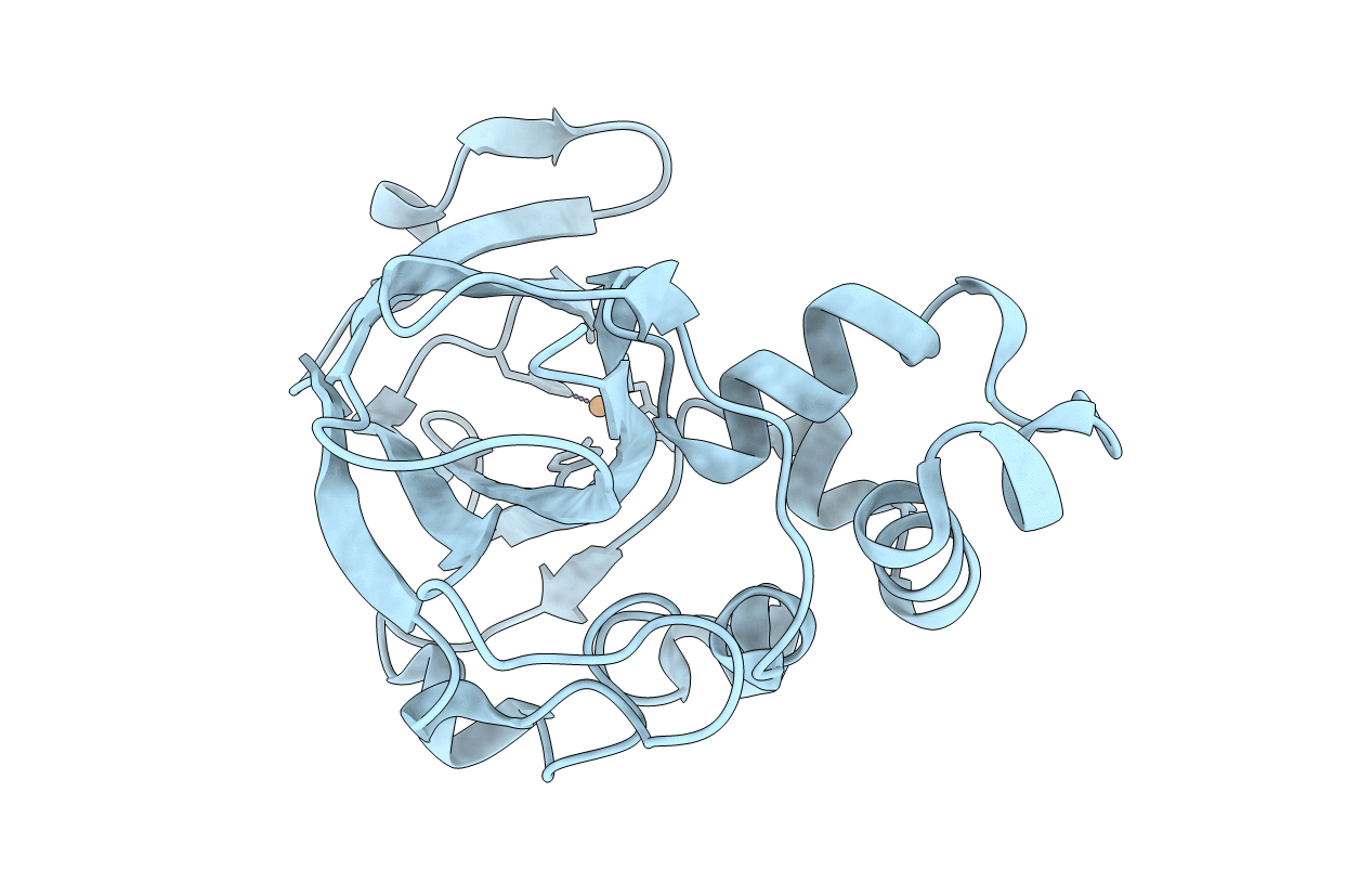 5OPF image