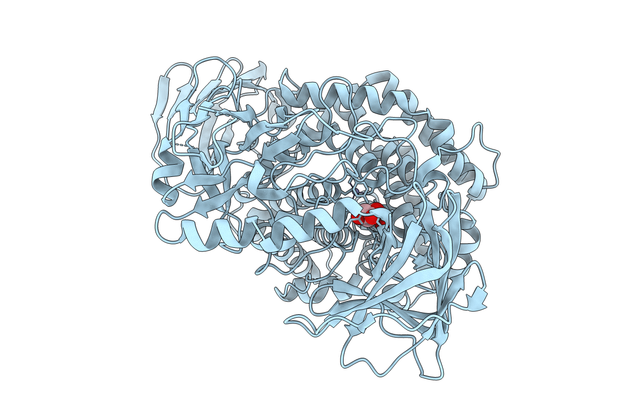 5OPJ image