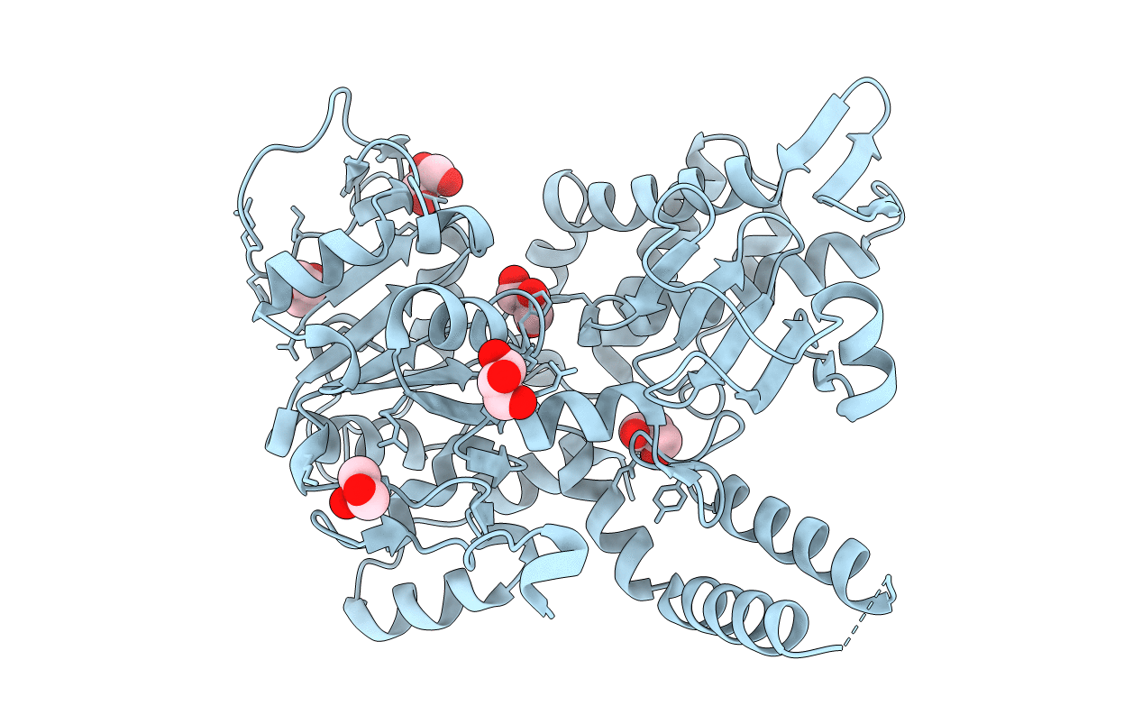 5OPN image