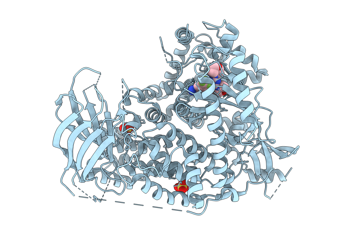5OQ4 image