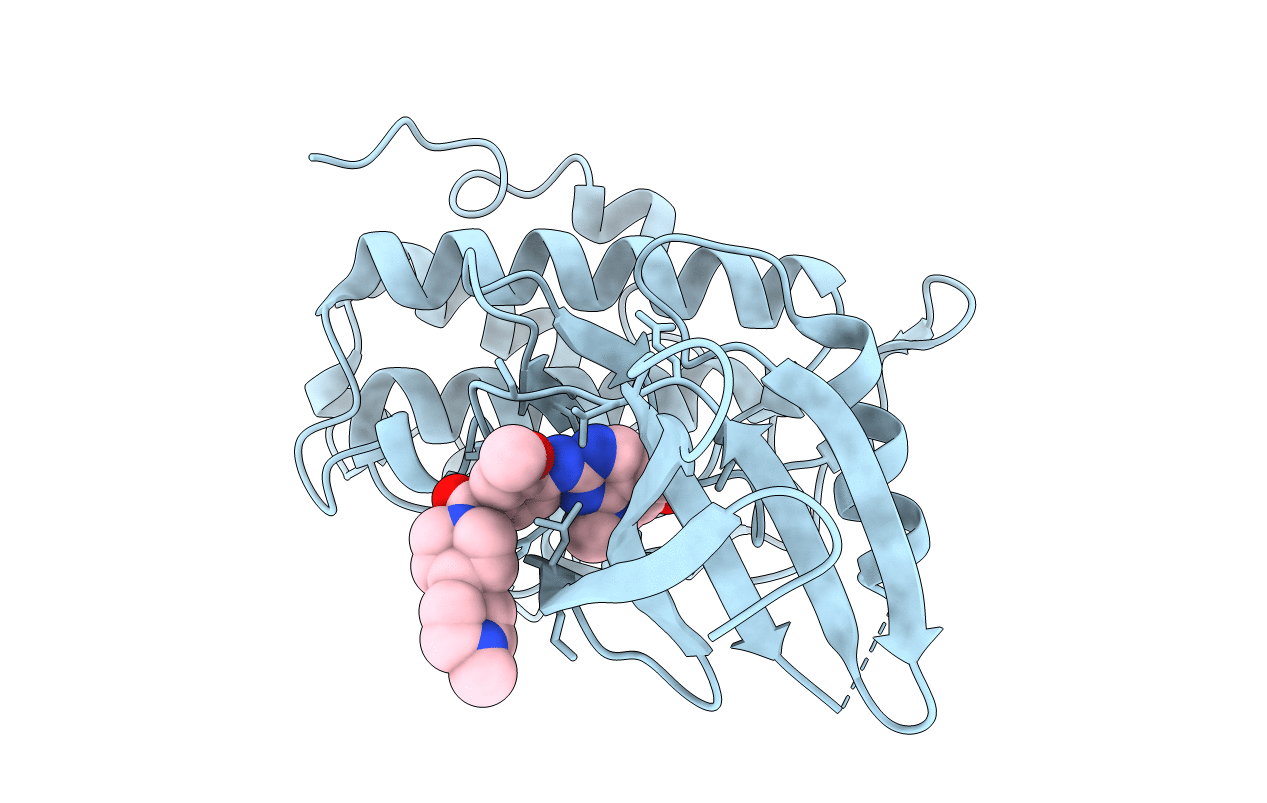 5OQ6 image