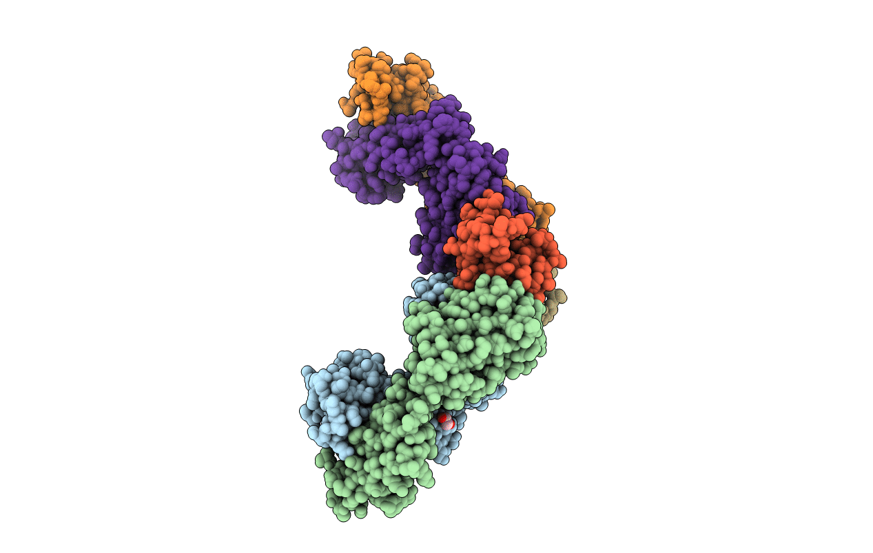 5OTJ image