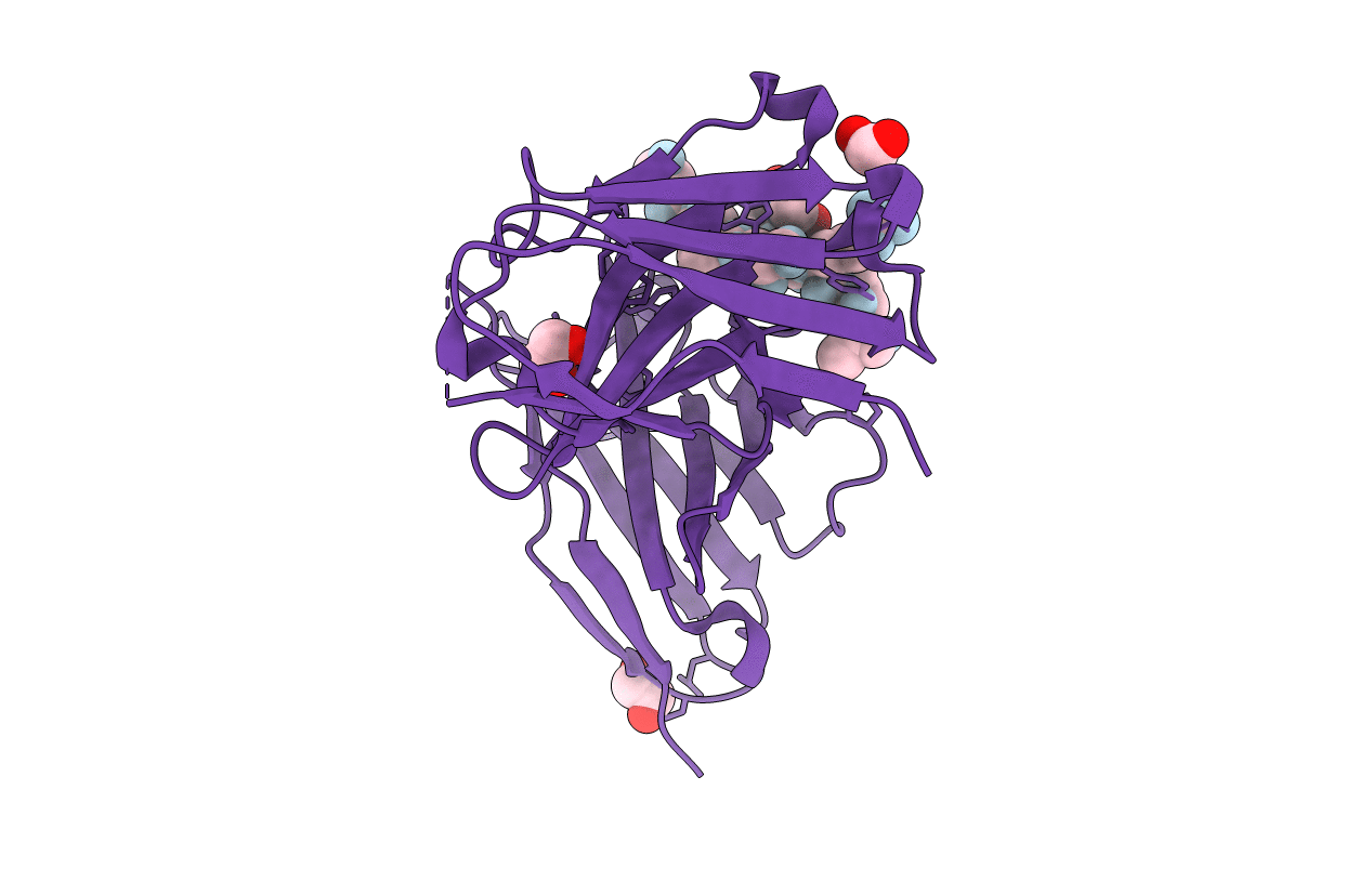 5OWP image