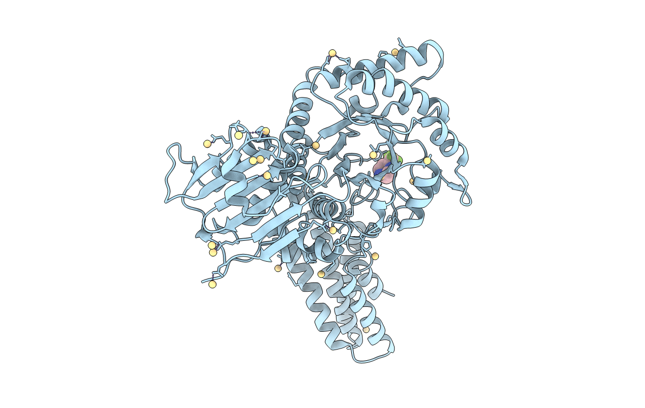5OXD image