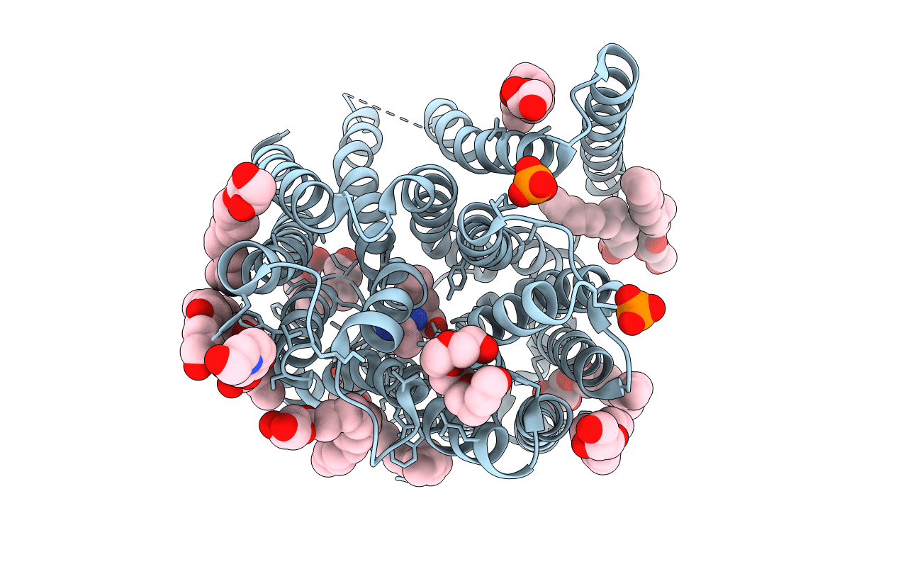 5OXL image