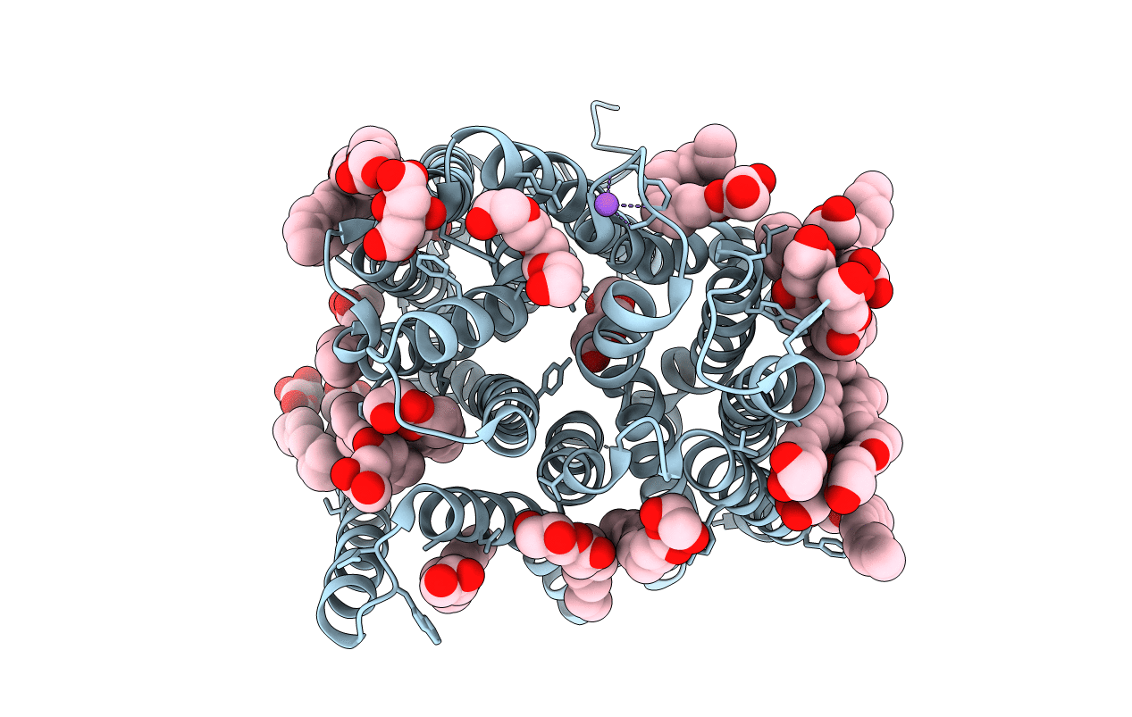 5OXO image