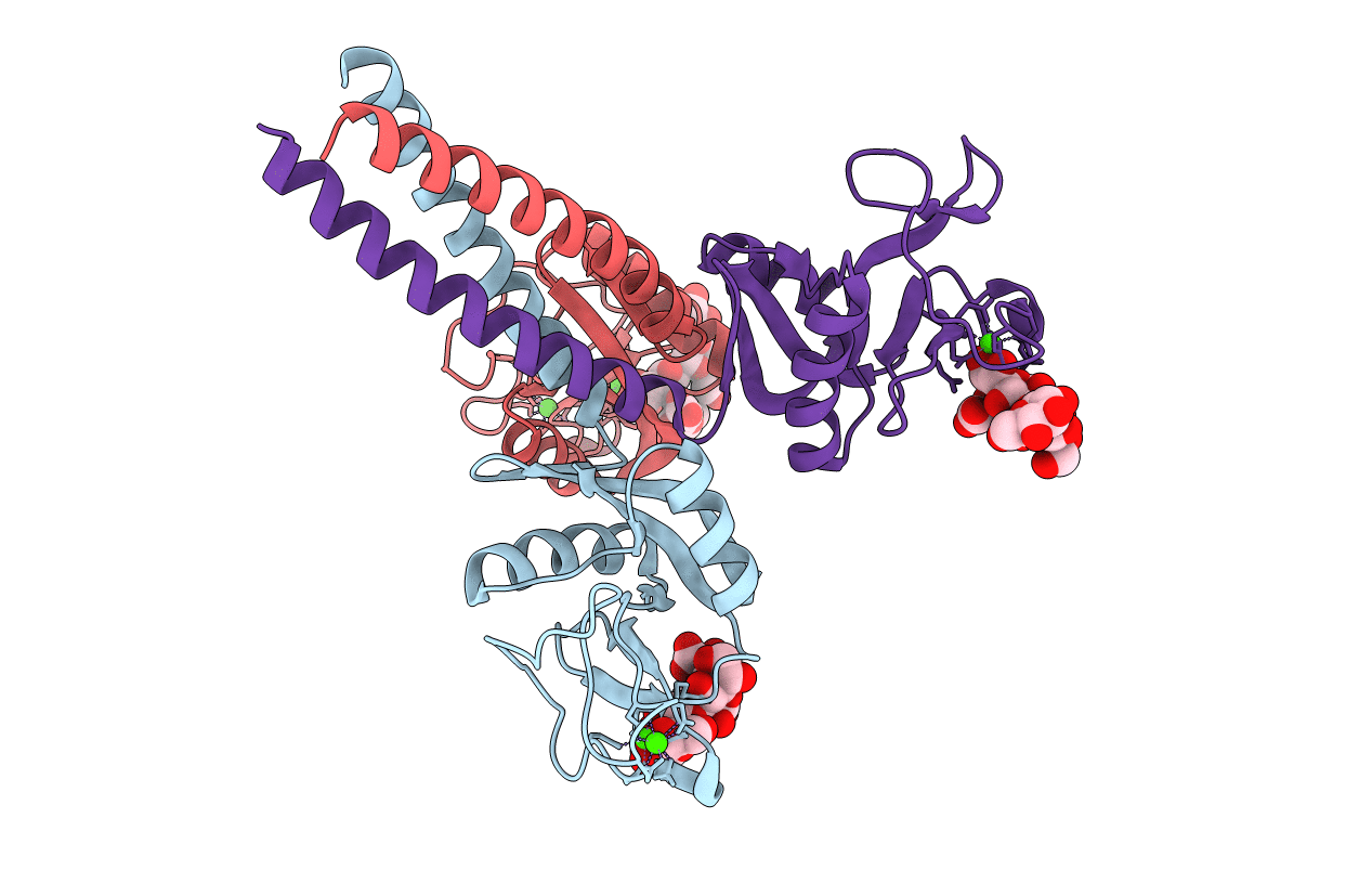 5OXS image