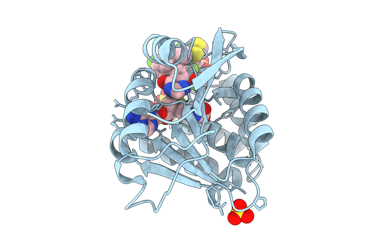 5P9O image