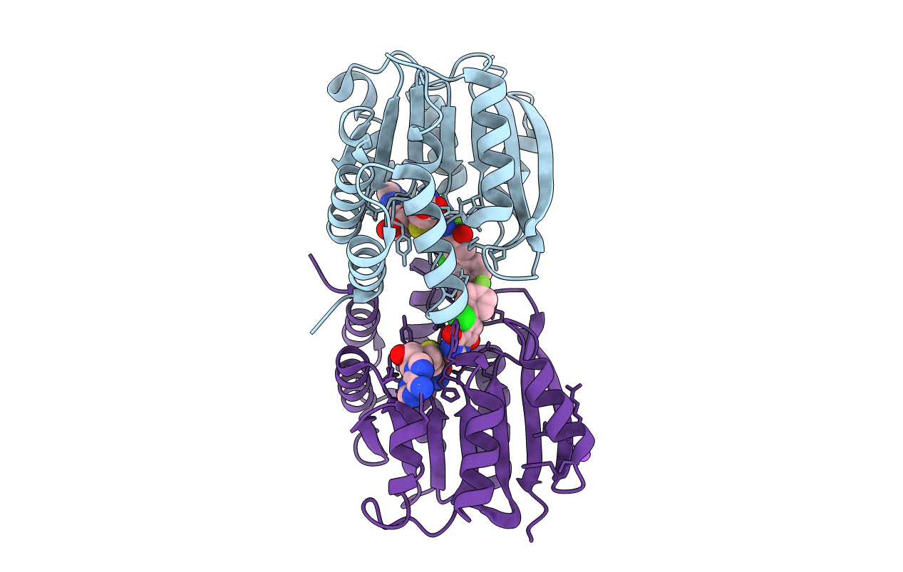 5P9R image
