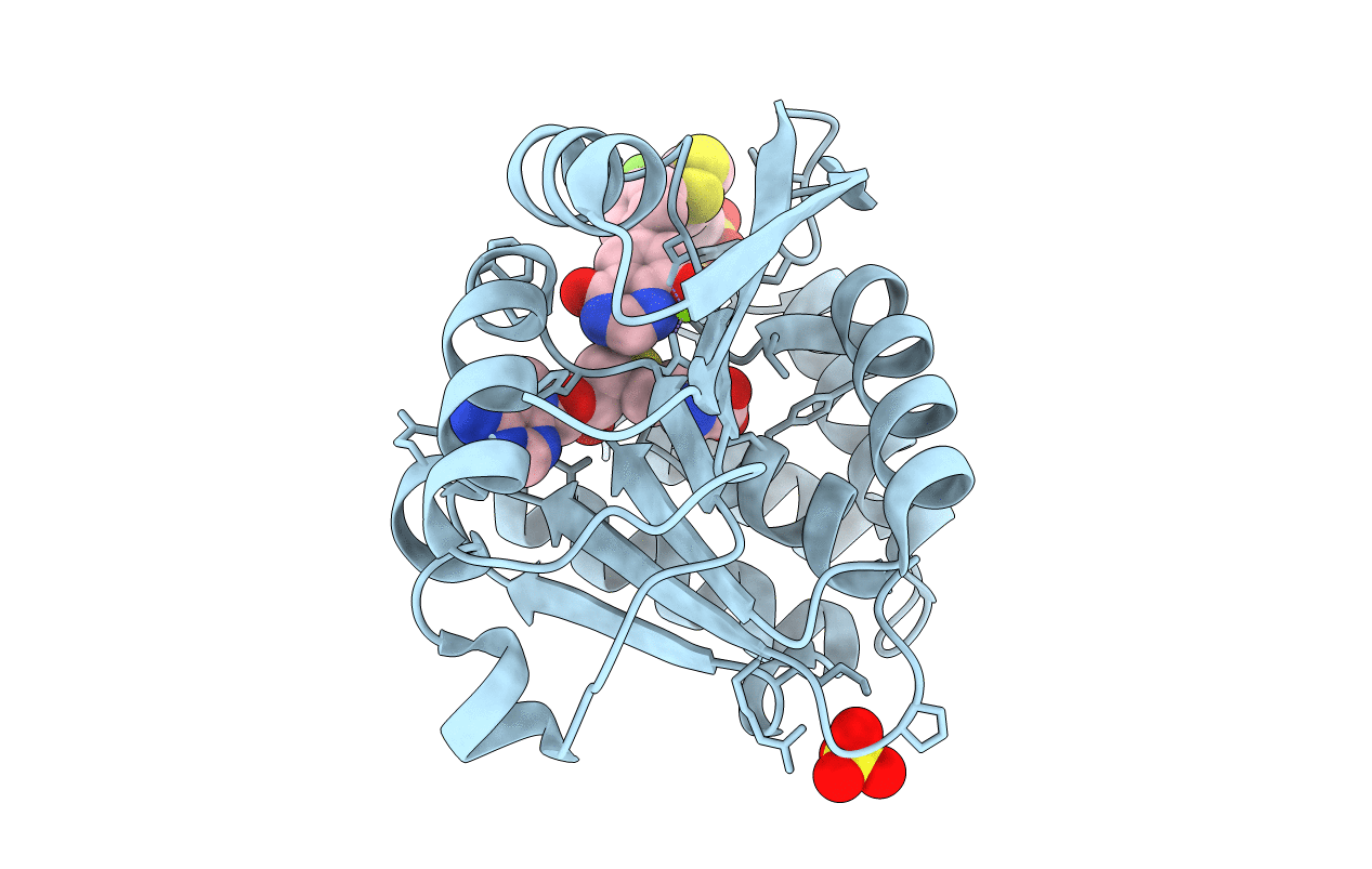 5P9T image