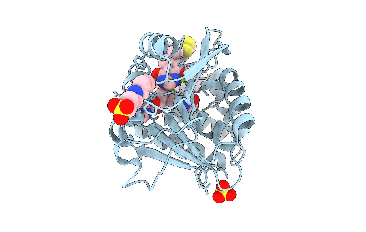 5P9V image
