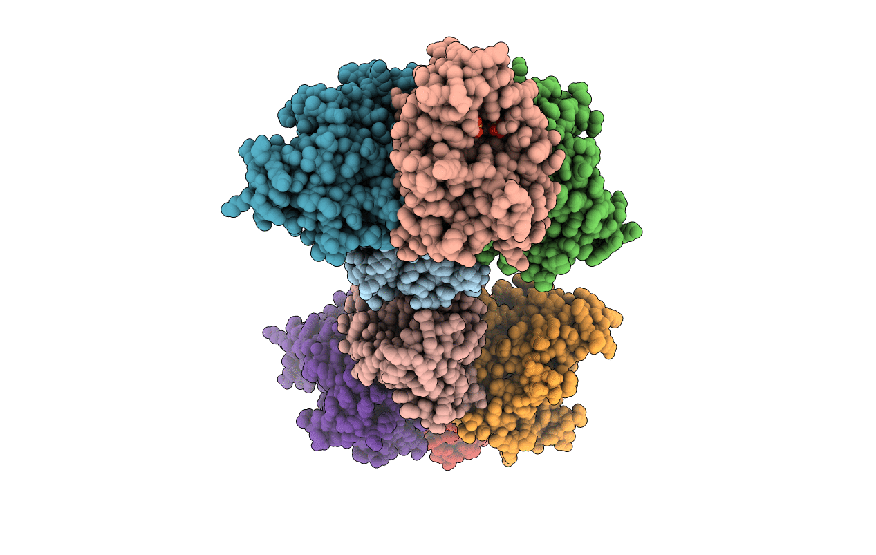 5PGM image