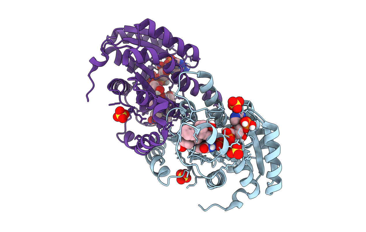 5PGZ image