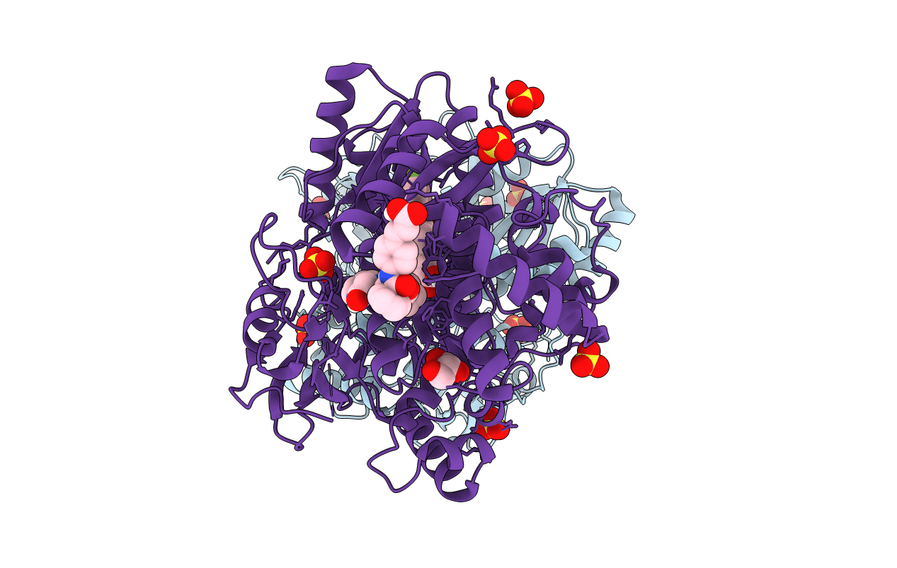 5PZM image