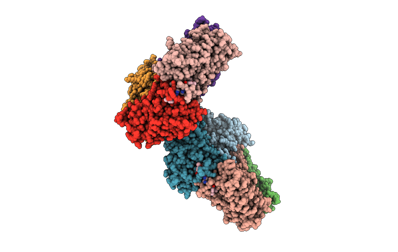 5PZX image