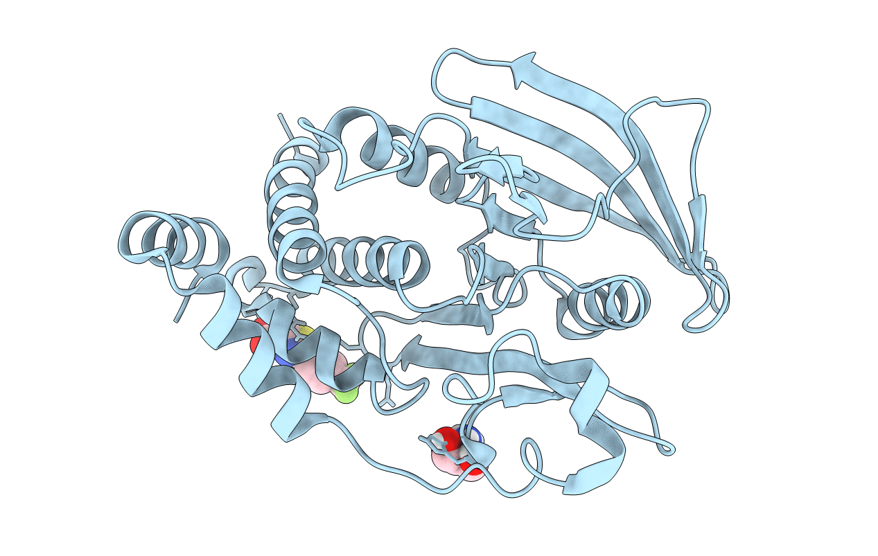 5QEP image