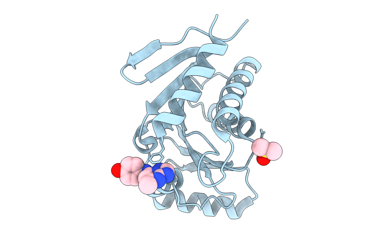 5QI6 image