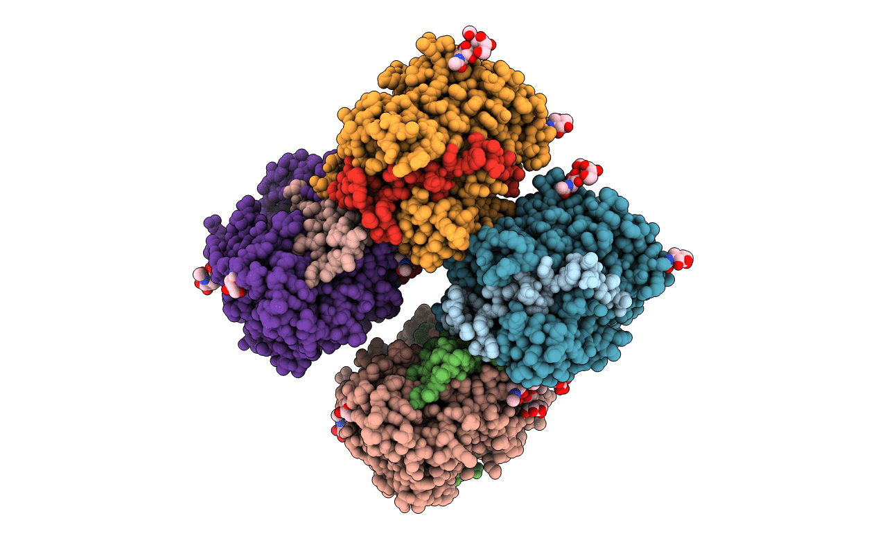 5QJ2 image
