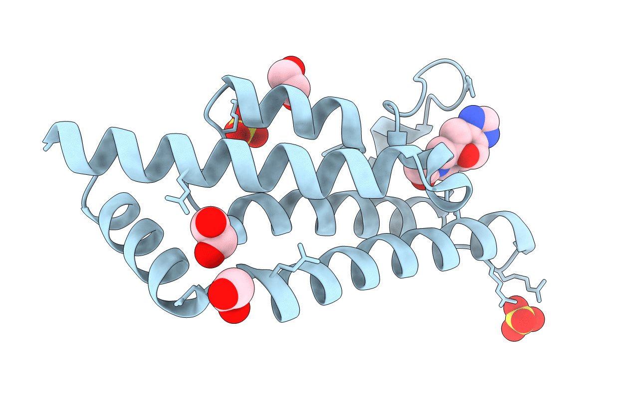 5QXR image