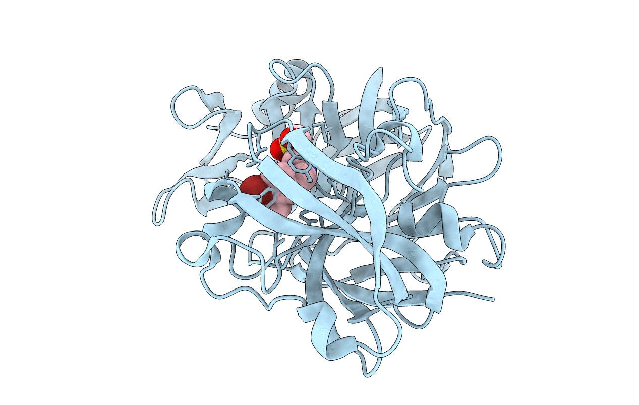 5R24 image