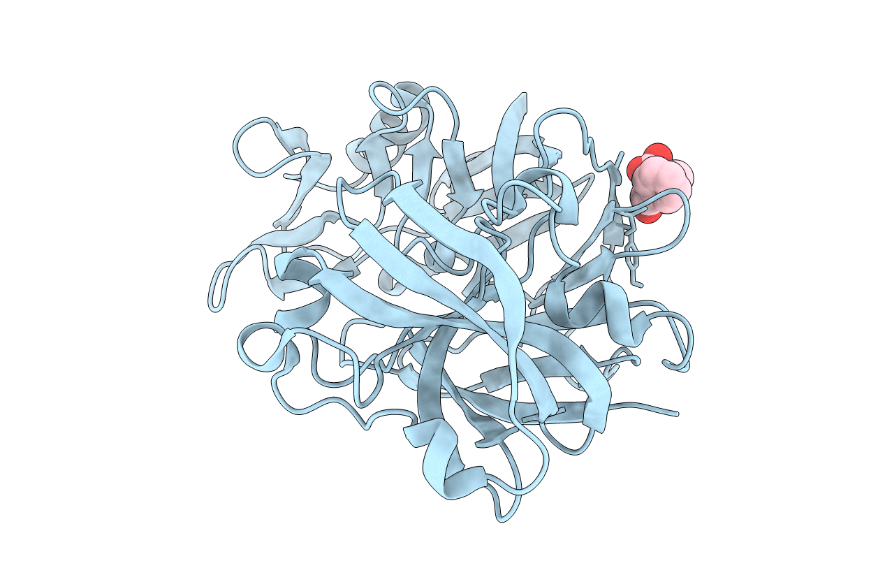5R2B image