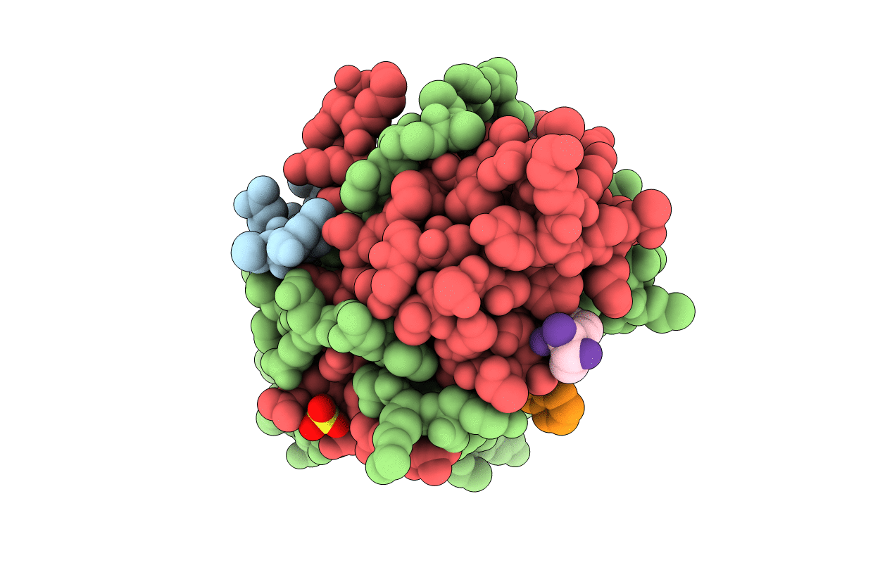 5R4B image