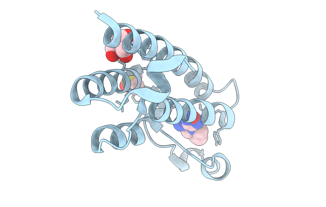 5R4J image