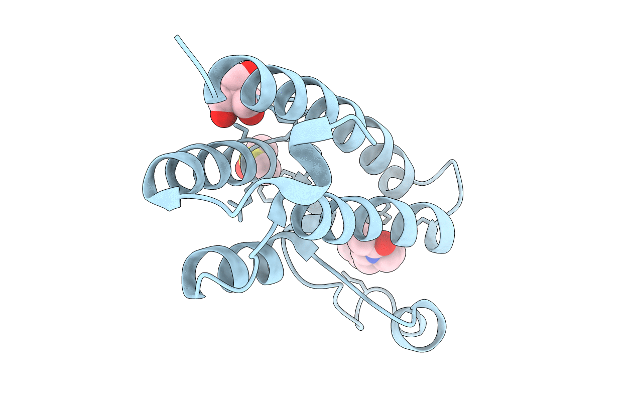 5R4N image