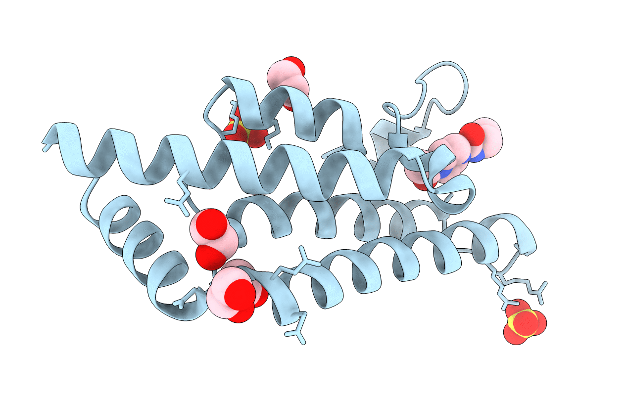 5R4X image