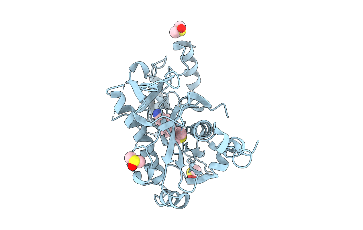 5R54 image