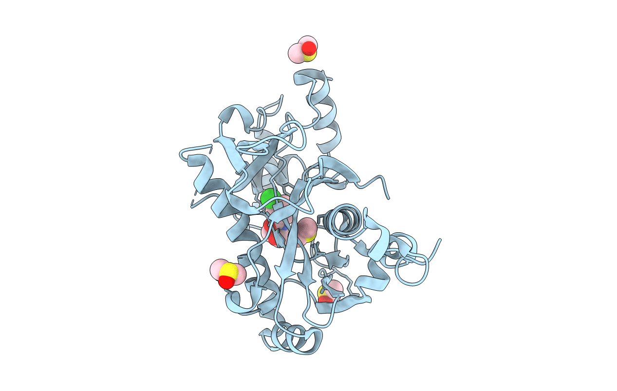 5R5H image