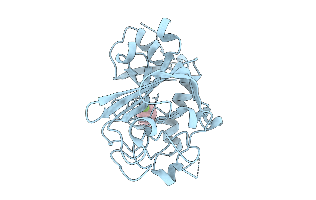 5R5V image