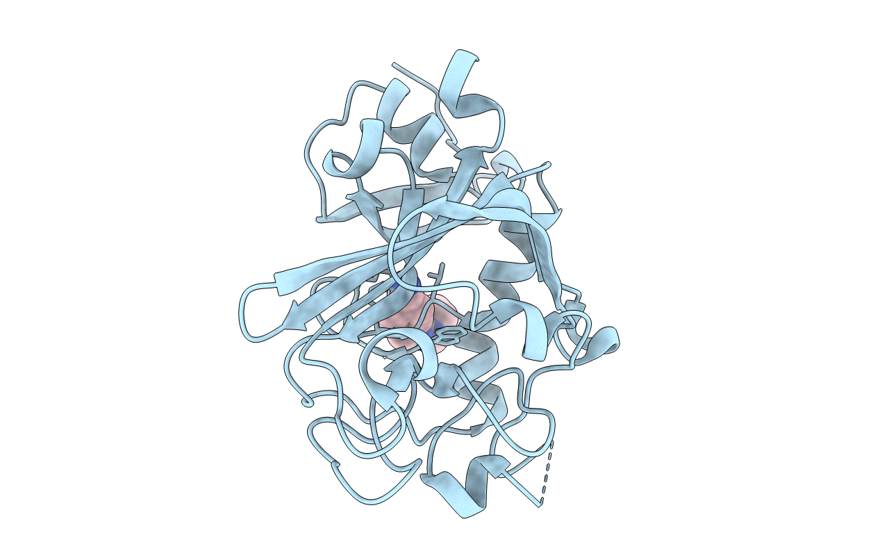 5R5Y image