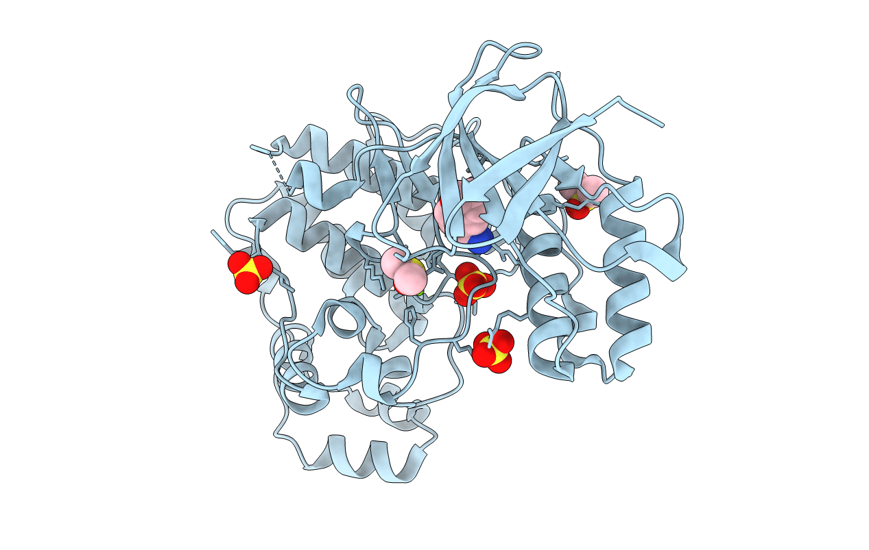 5R8U image