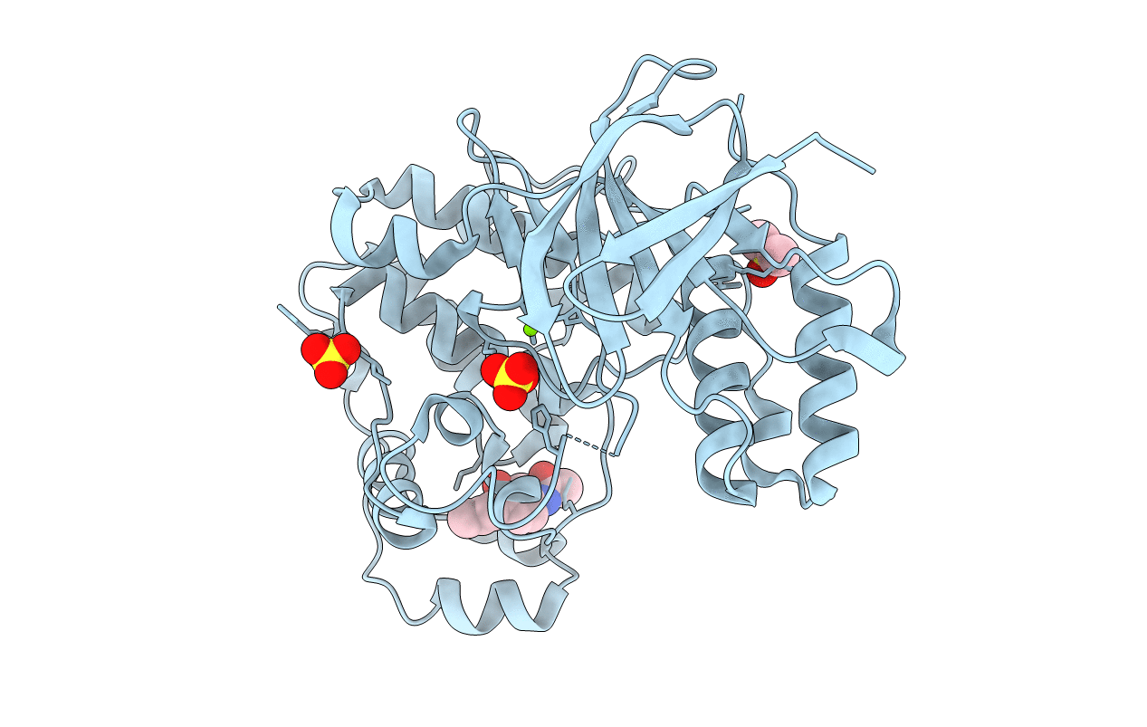 5R8V image