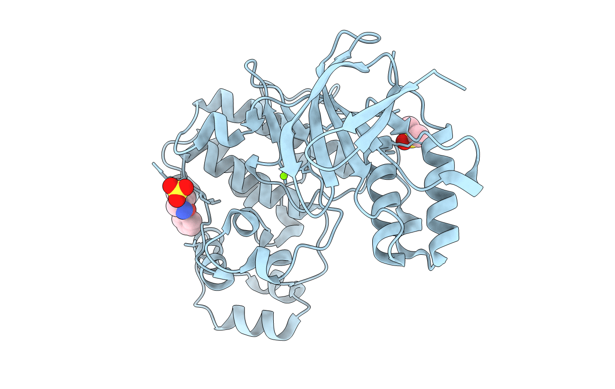 5R8X image