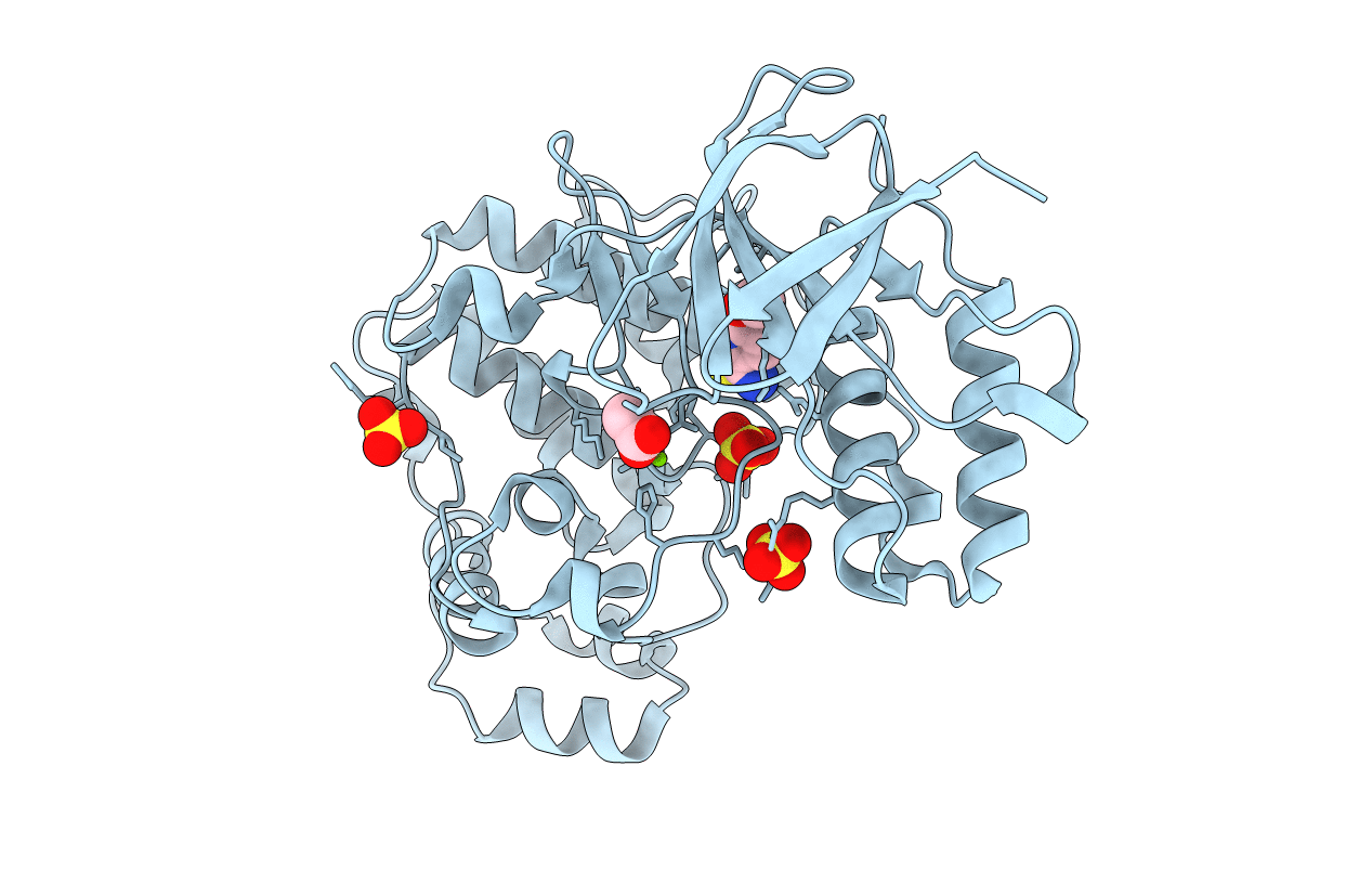5R8Z image