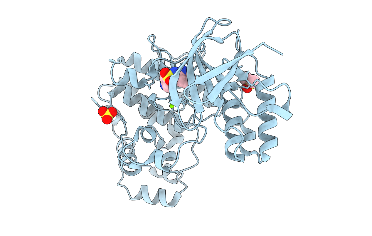 5R9P image