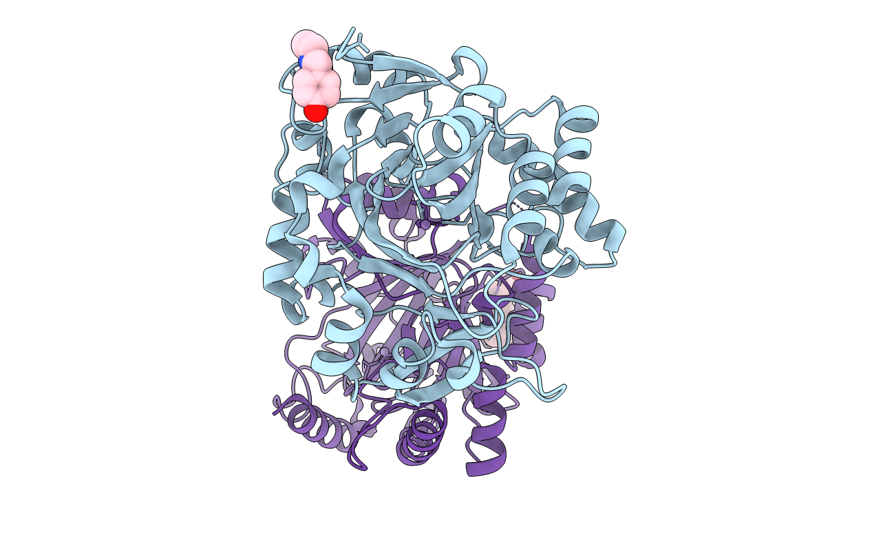 5RAC image