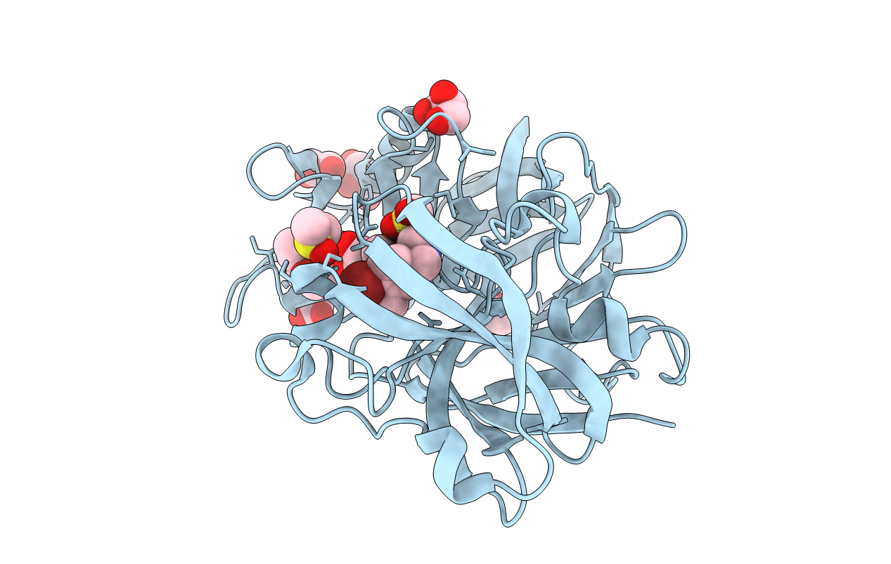 5RC4 image