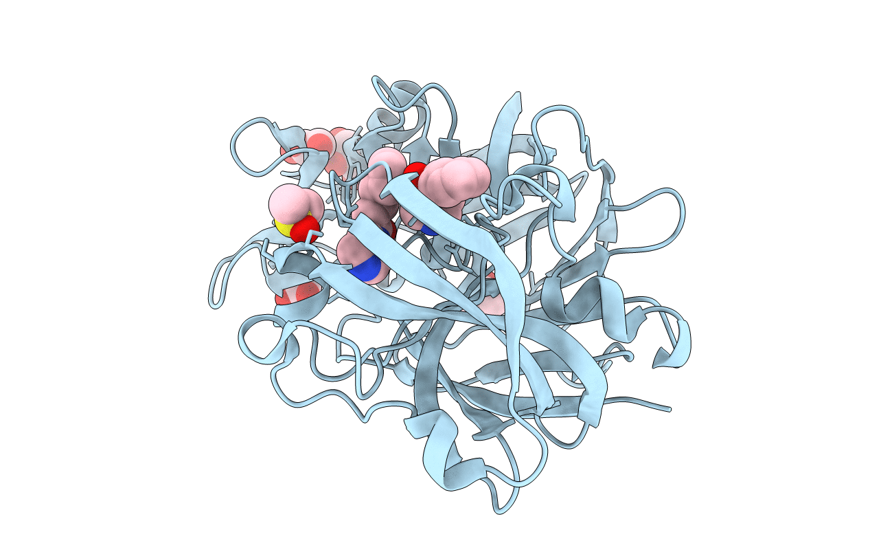 5RCC image