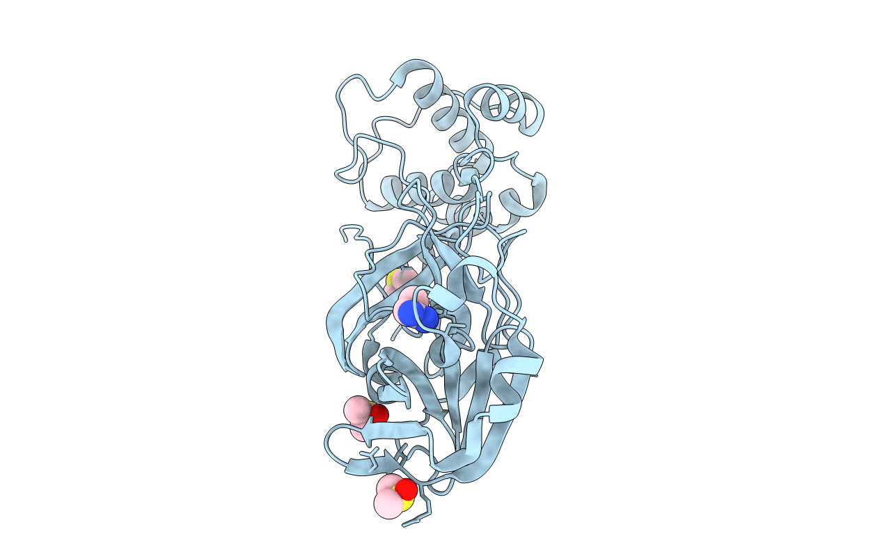 5RF2 image