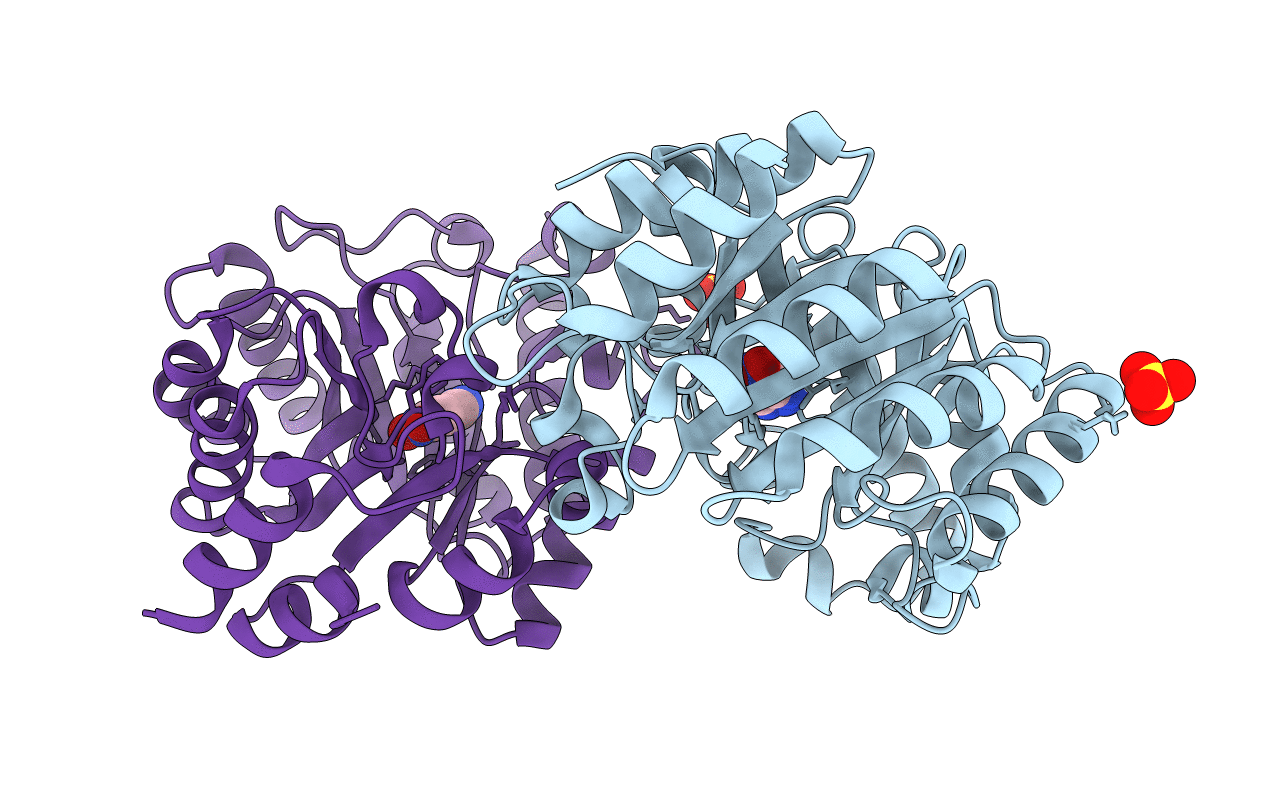 5RGA image